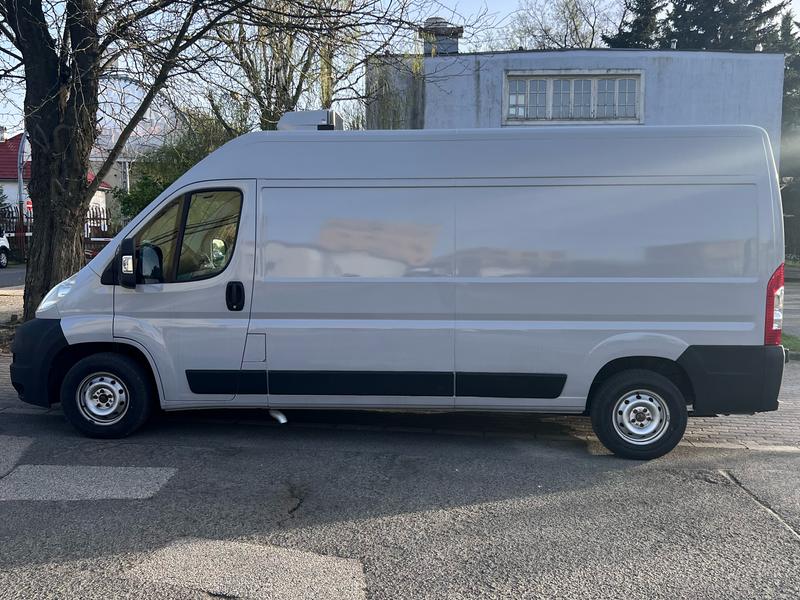 fagyasztós autó bérlés